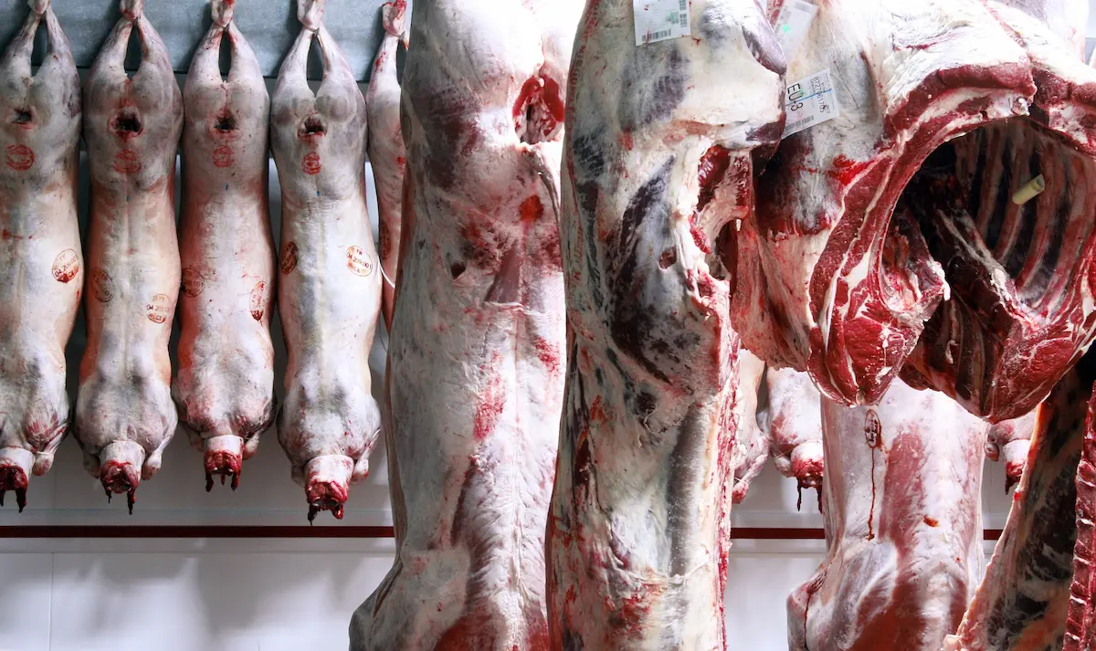 Selected lamb and beef hormone-free from Petrov Farm Bulgaria